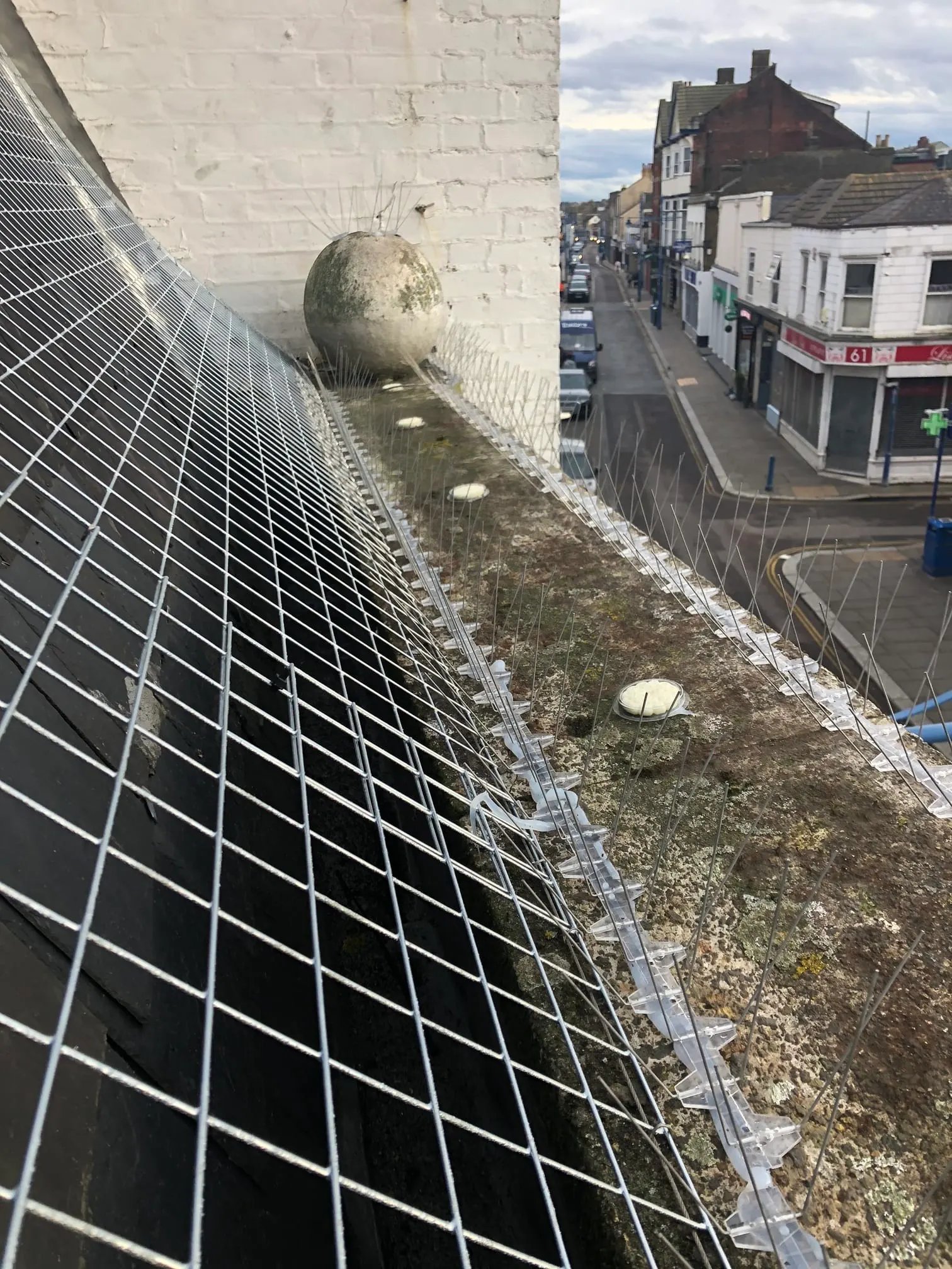 Mesh bird netting fitted along a roof parapet above a high street